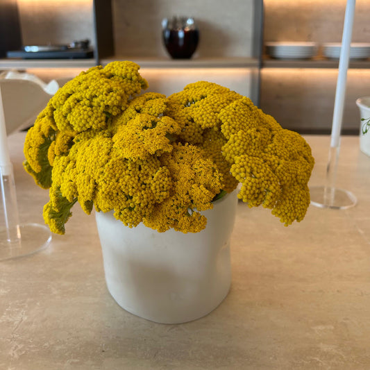 Can Vases Small